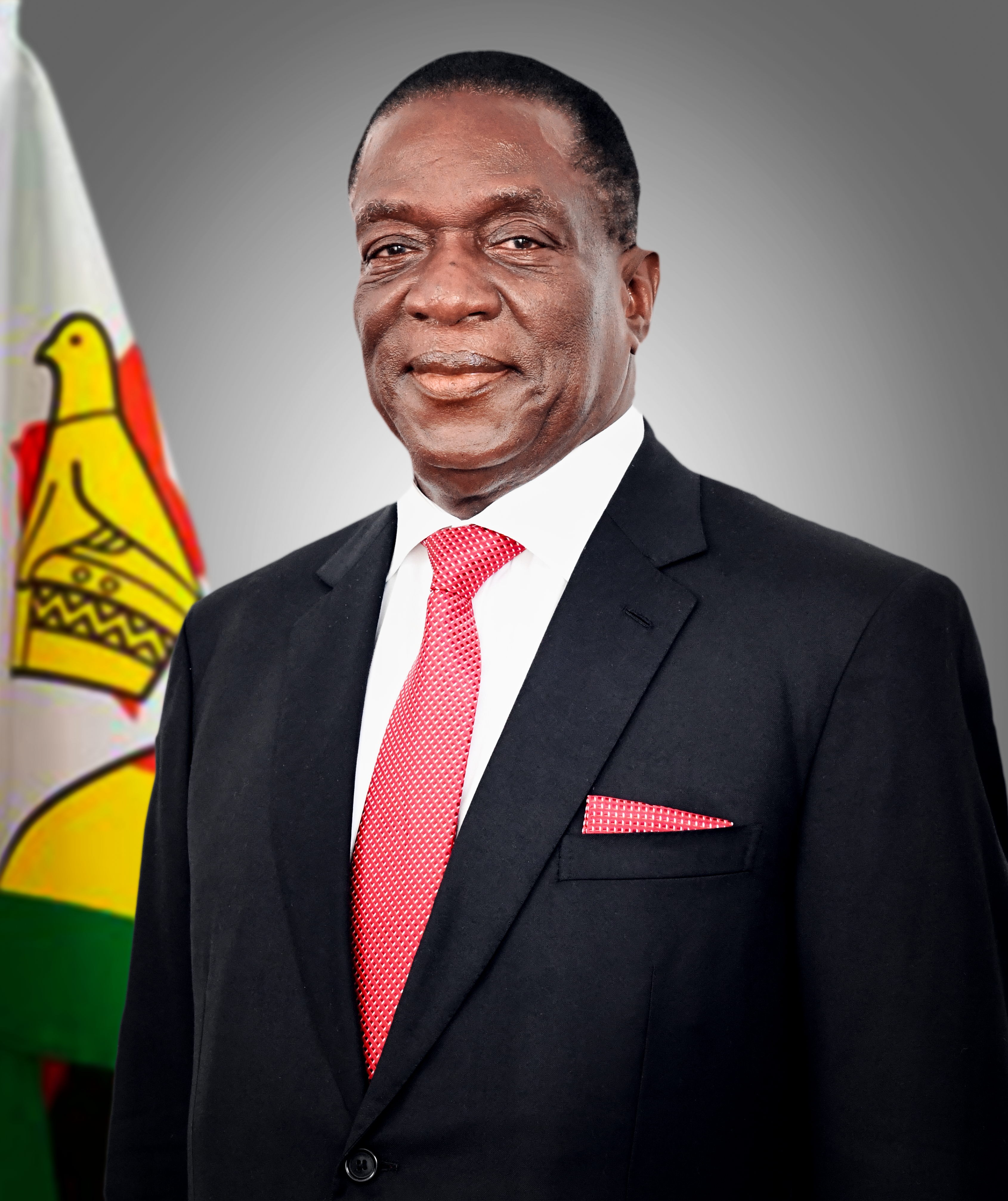 President of Zimbabwe