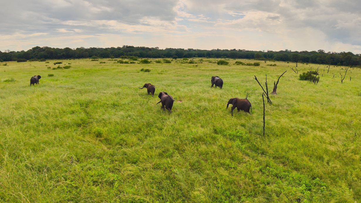 Hwange National Park