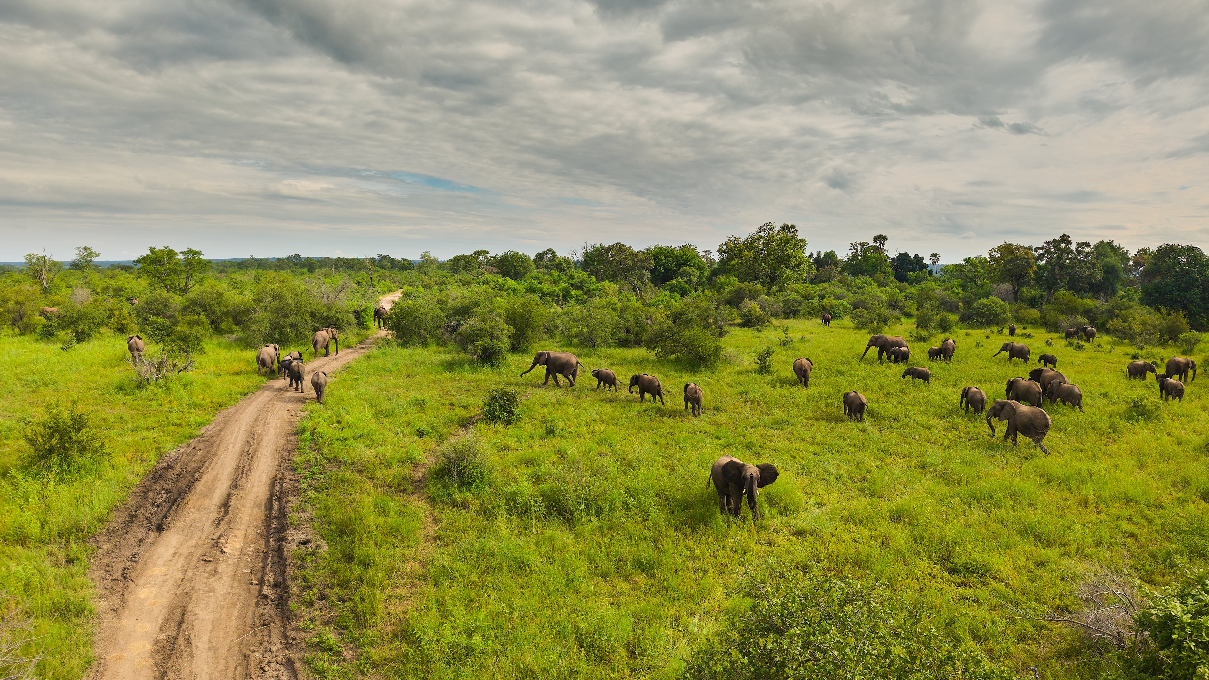 Zambezi National Park