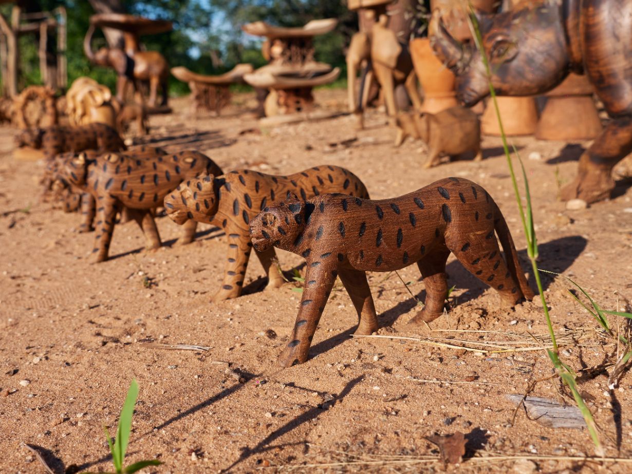 Cheetah Artifacts