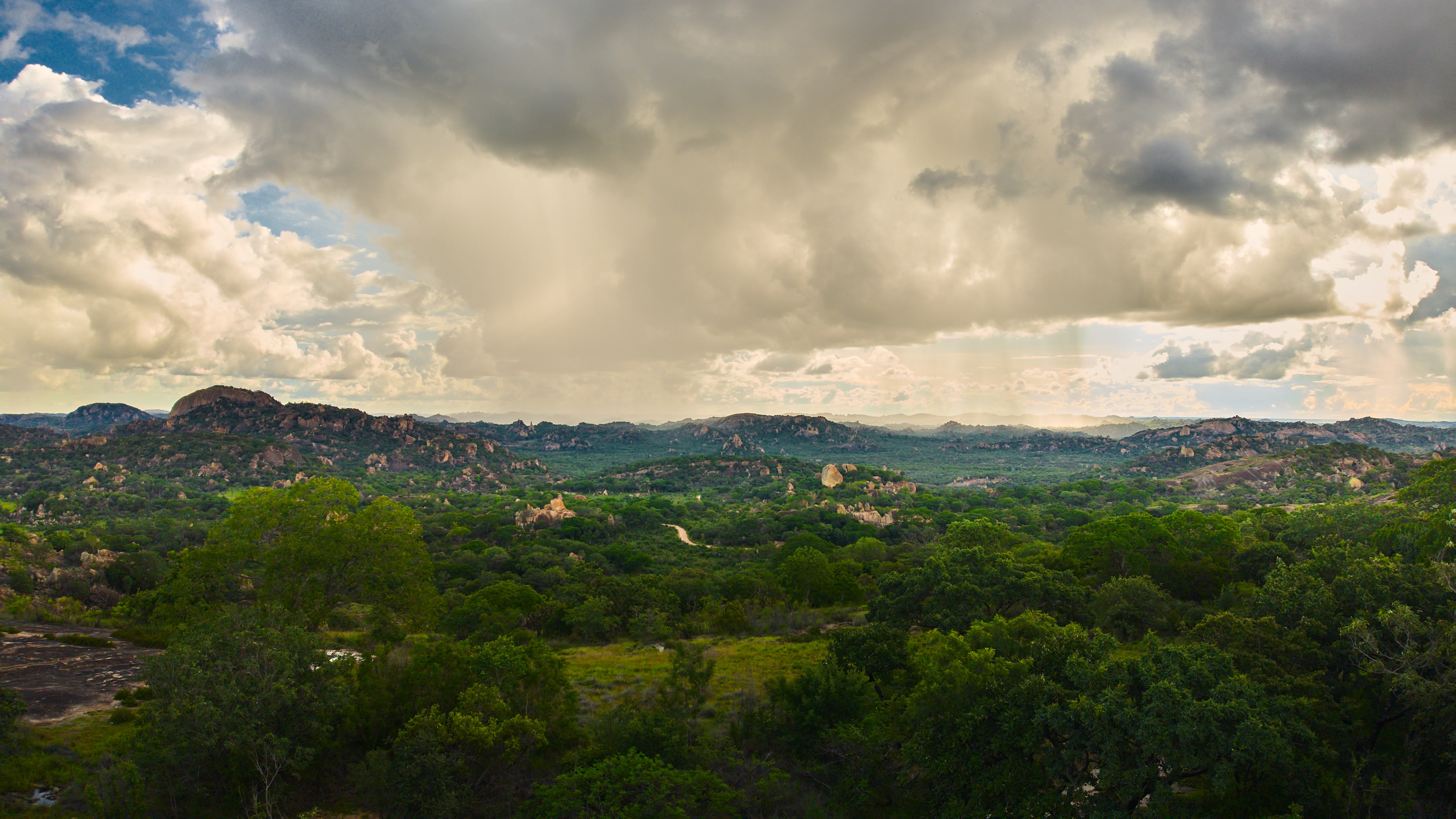 View 11