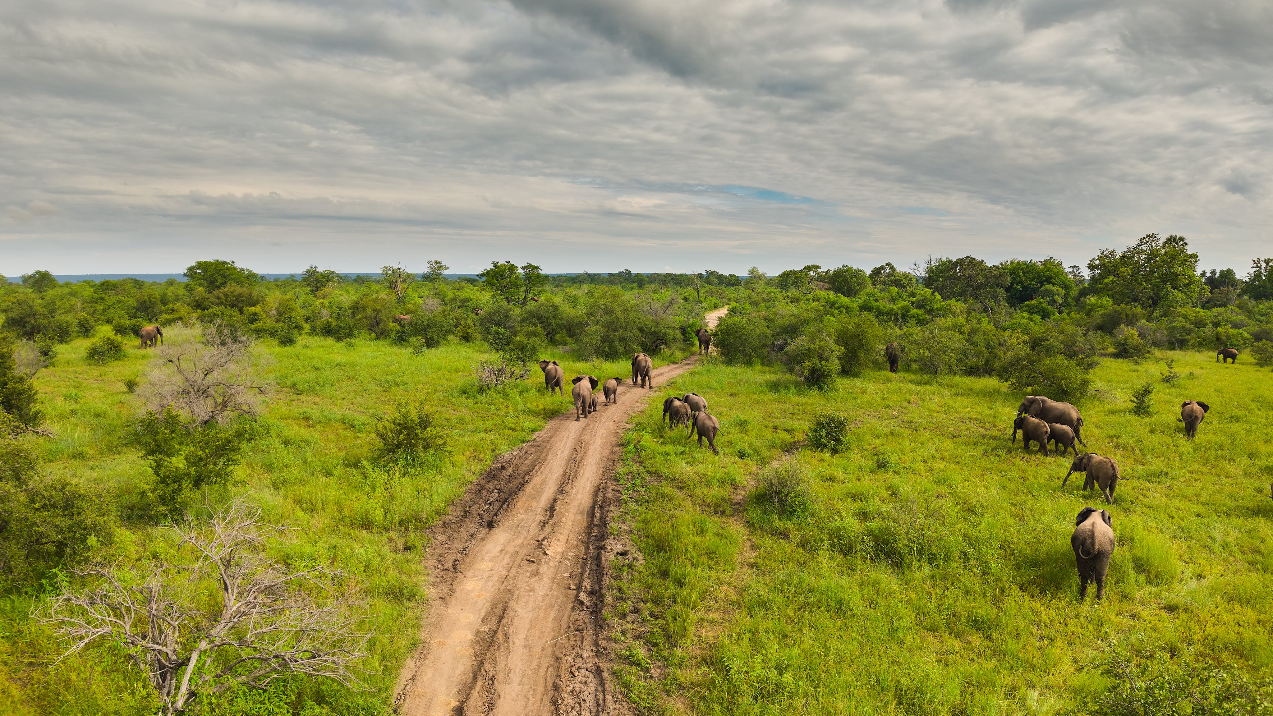 Zambezi National Park: View 05