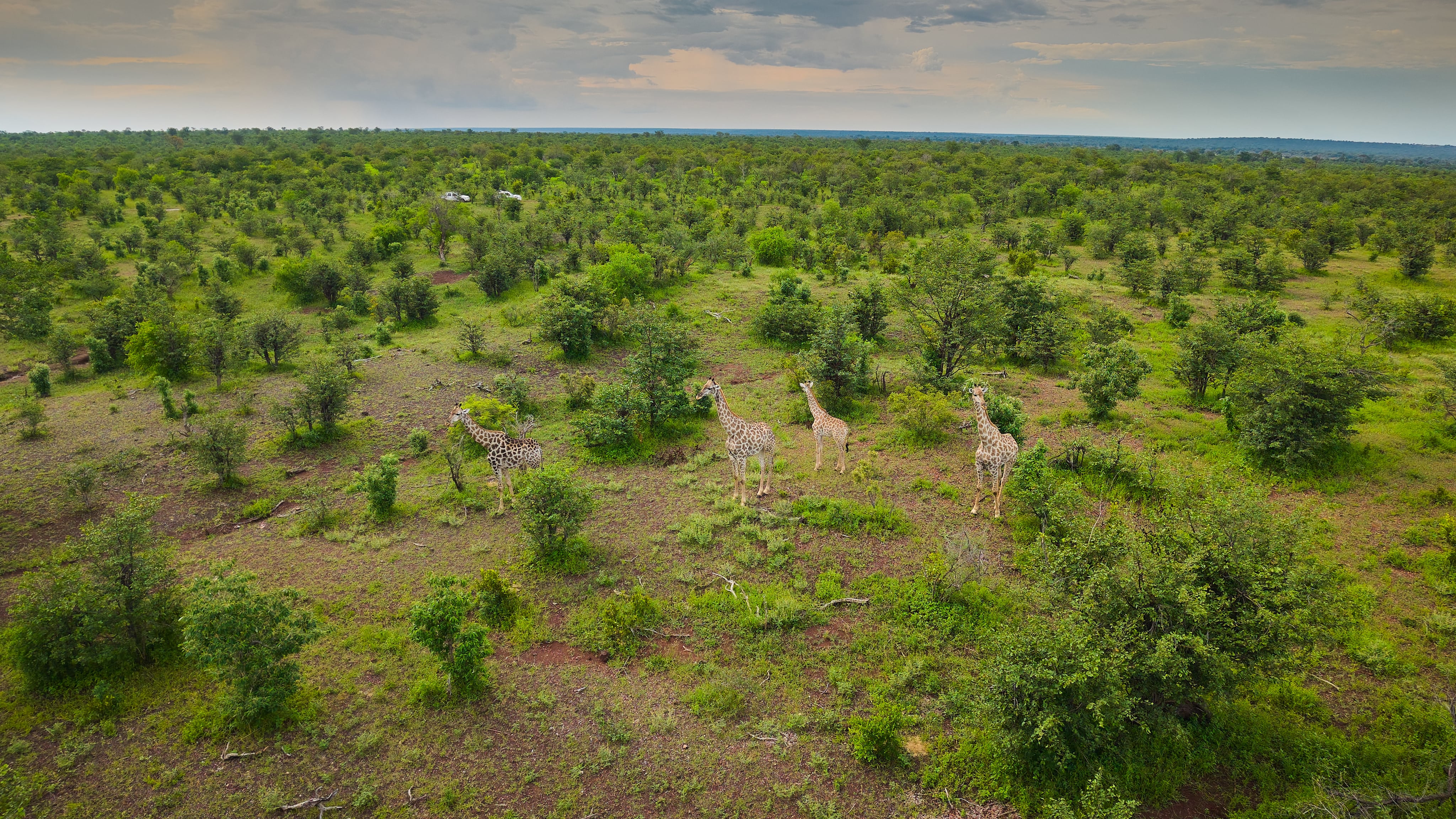 Zambezi National Park: View 13