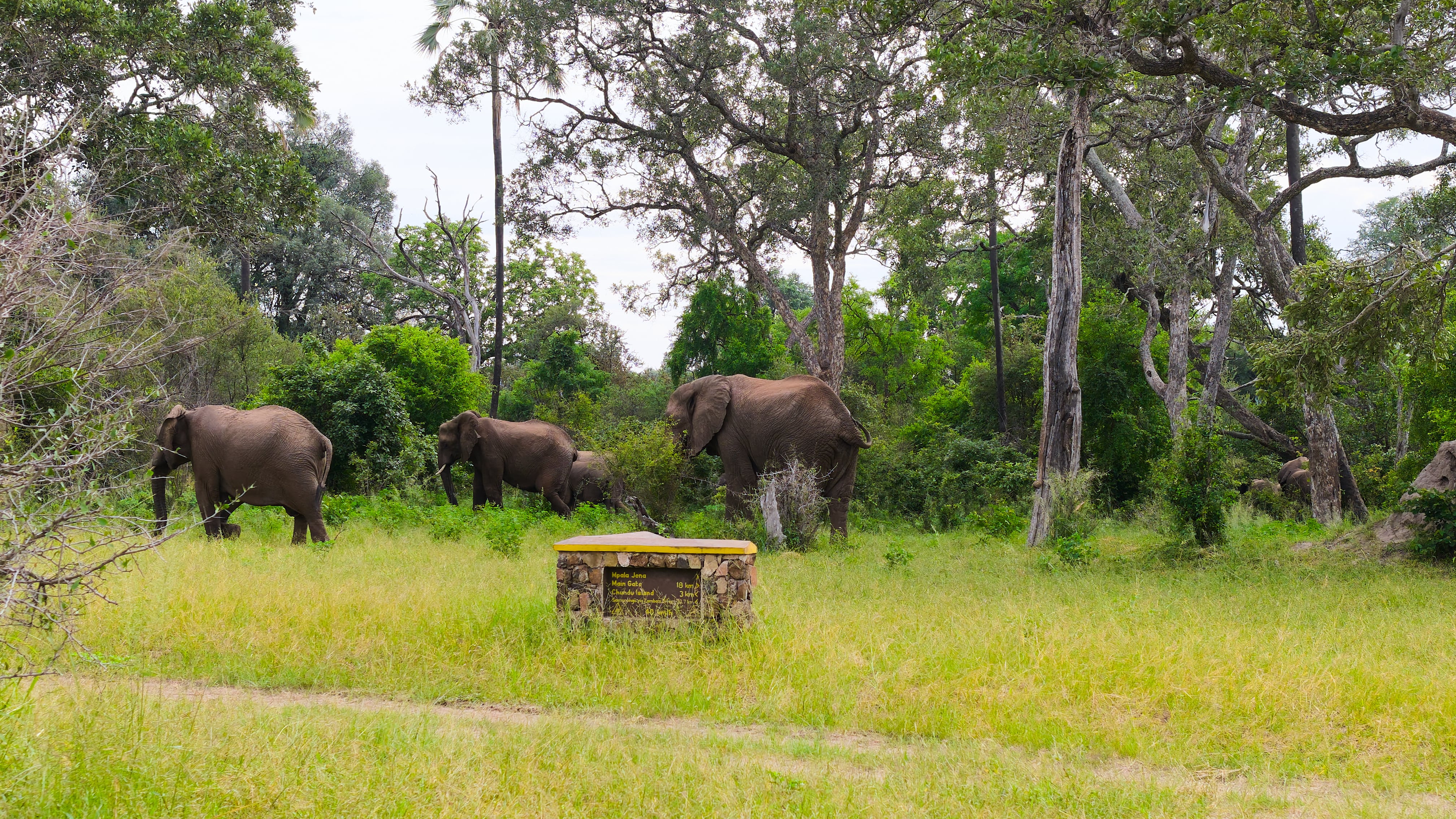 Zambezi National Park: View 04