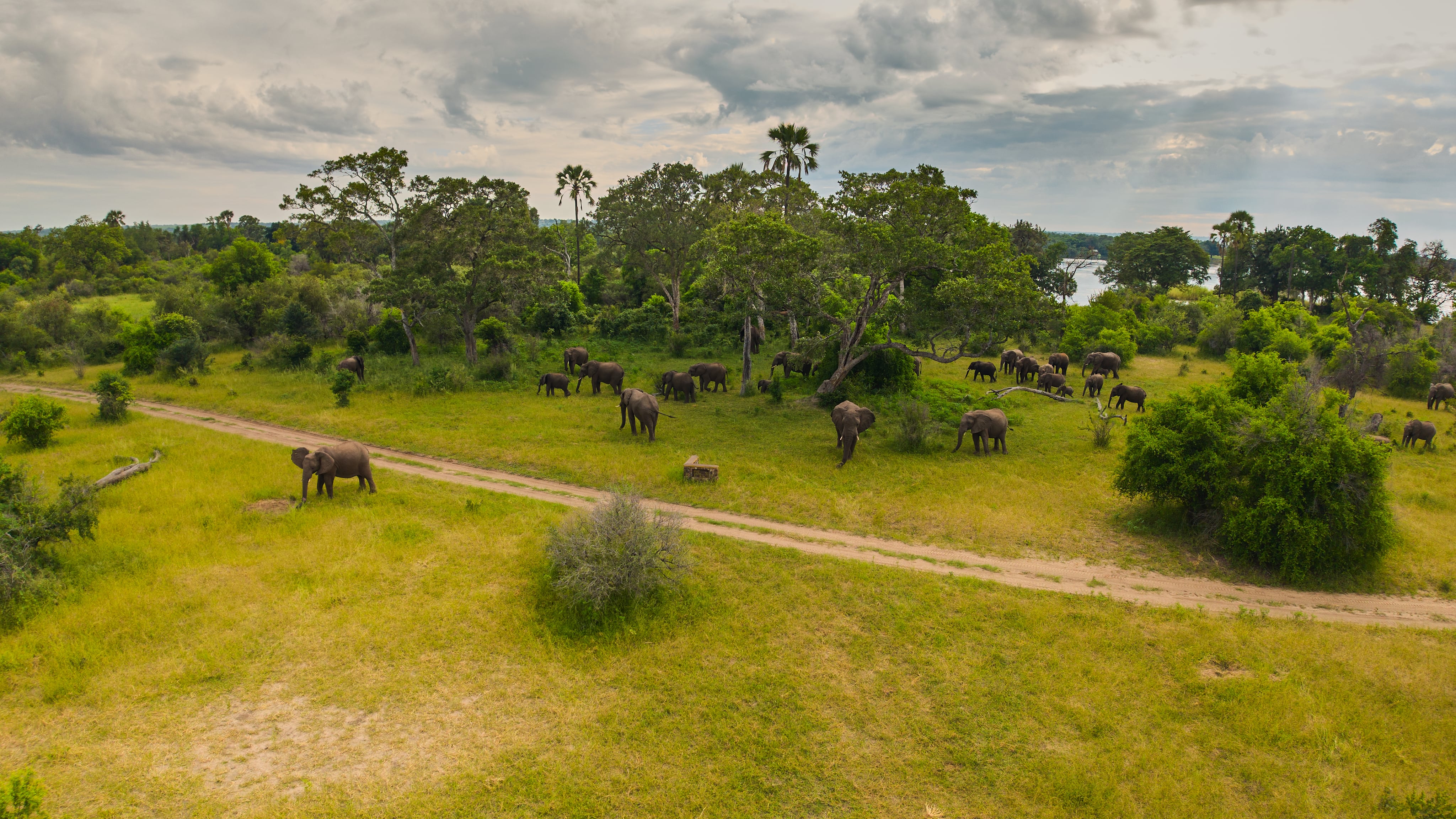 Zambezi National Park: View 02