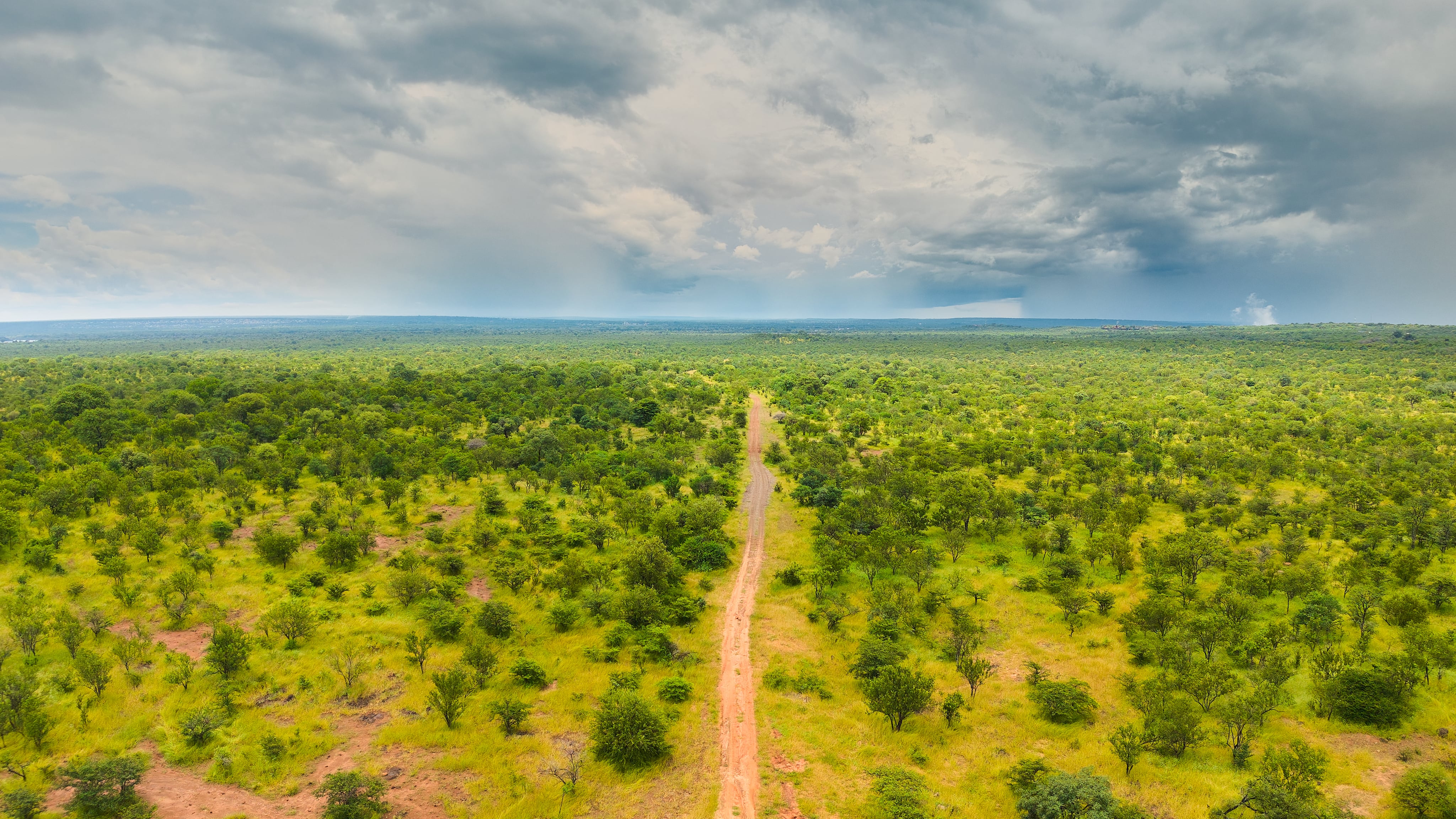 Zambezi National Park: View 11