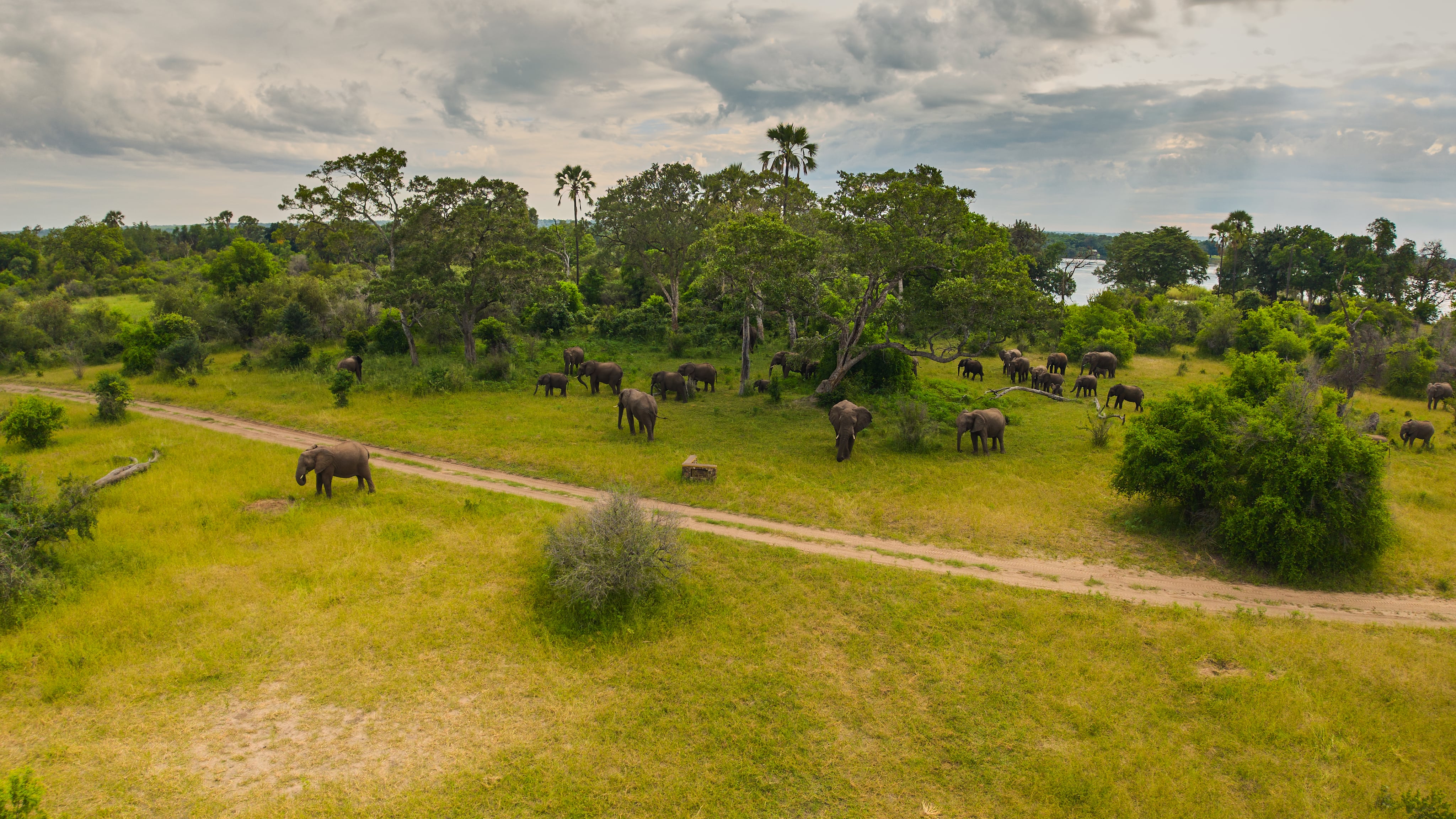 Zambezi National Park: View 03