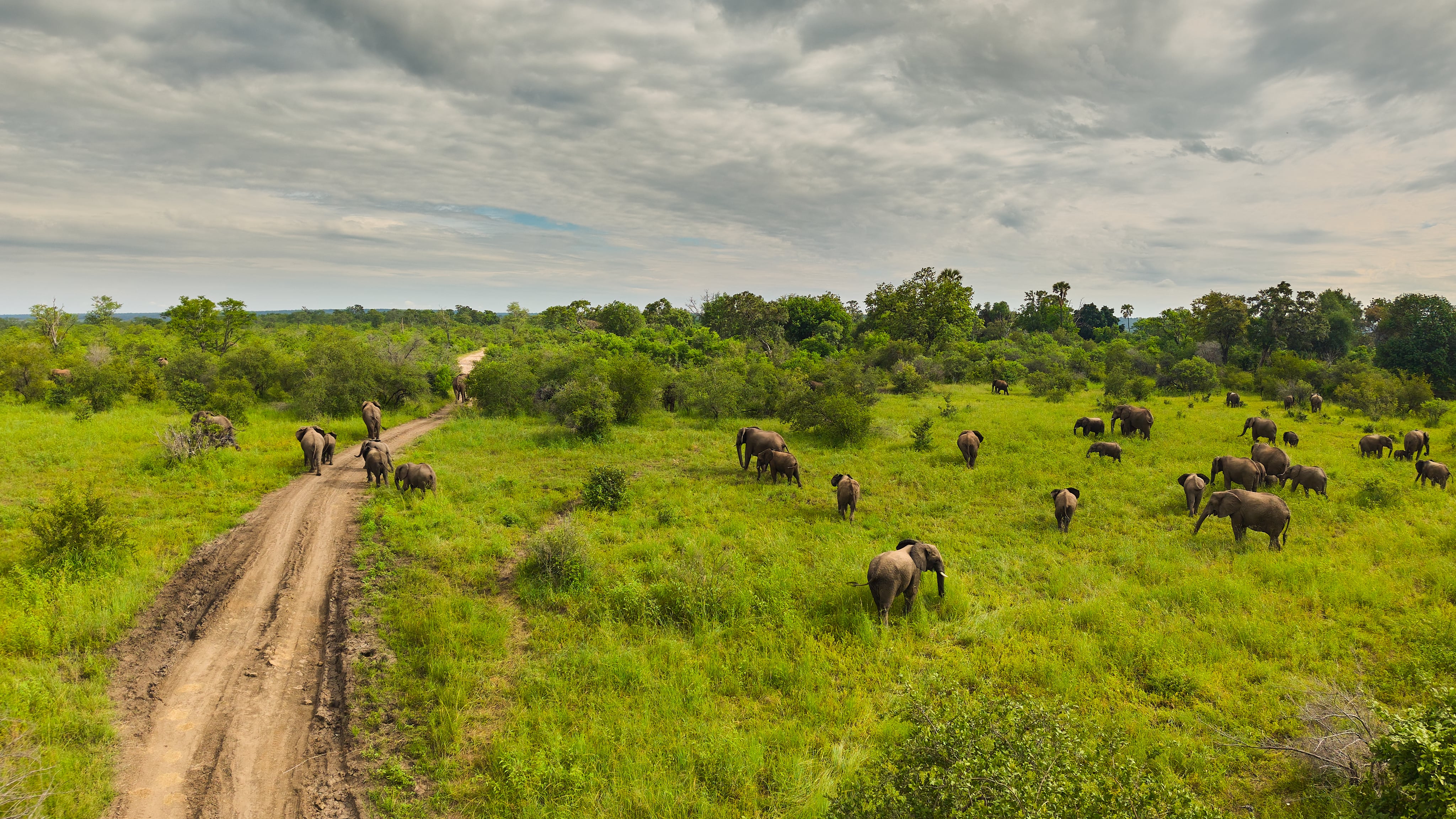 Zambezi National Park: View 06