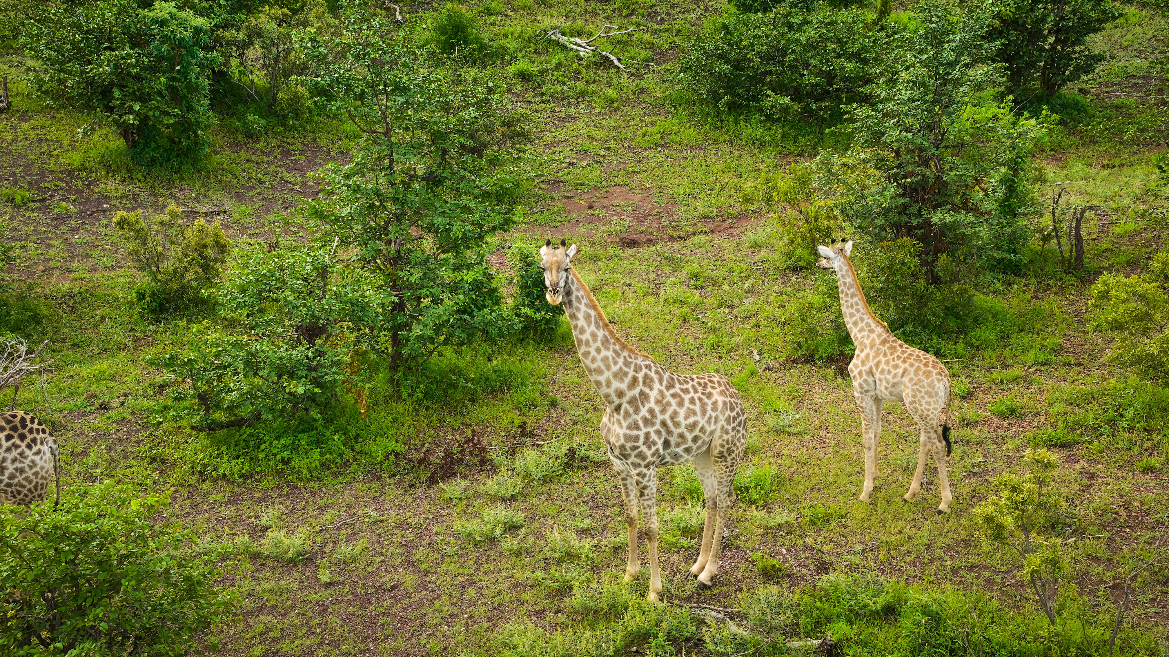 Zambezi National Park: View 14
